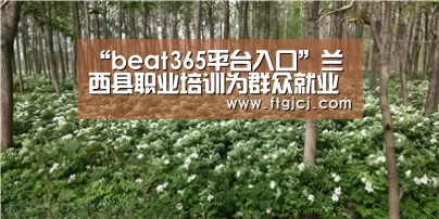 “beat365平台入口”兰西县职业培训为群众就业助力(图3)